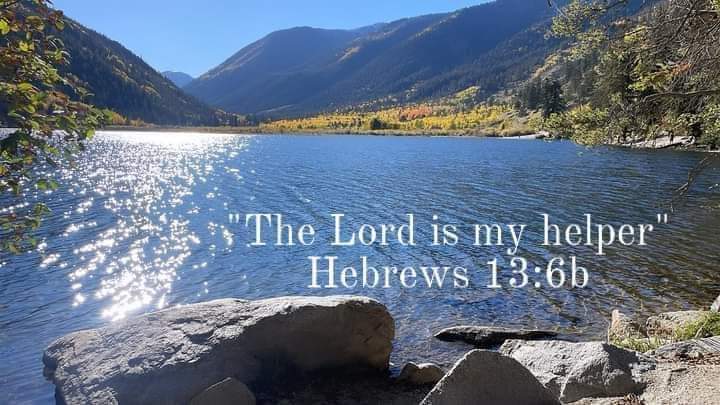 Tracy Killinger 🇺🇸 tweet media