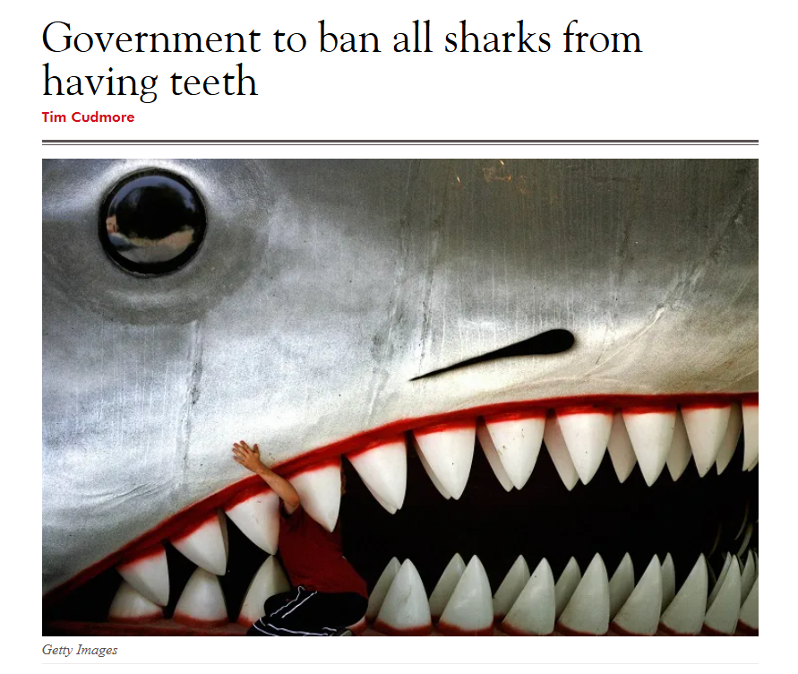 SpectatorOz's tweet photo. To prevent future shark attacks, the government has voted to ban all sharks from having teeth.

Not just some sharks. Not just the known dangerous sharks. All sharks… Universally.

If you have shark teeth, you are the problem!

Under the plan, existing teeth are to be voluntarily surrendered as part of a national Shark Teeth Buyback Scheme. As usual, the logic from the government is elegant in its simplicity: no teeth equals no bites.

Article | https://t.co/idm1heGcsZ