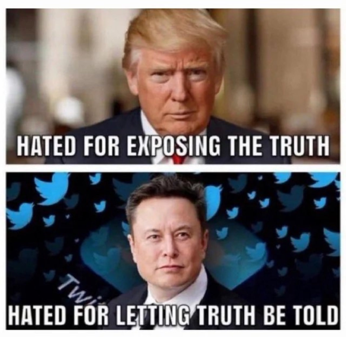 AlkernS71's tweet image. 