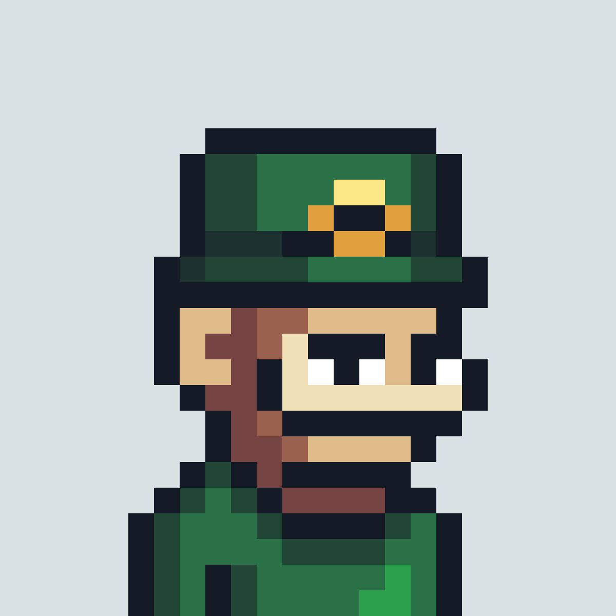 BananaBlocksx's tweet photo. Happy St. Patrick's Day Solana! https://t.co/21wMABbeCs