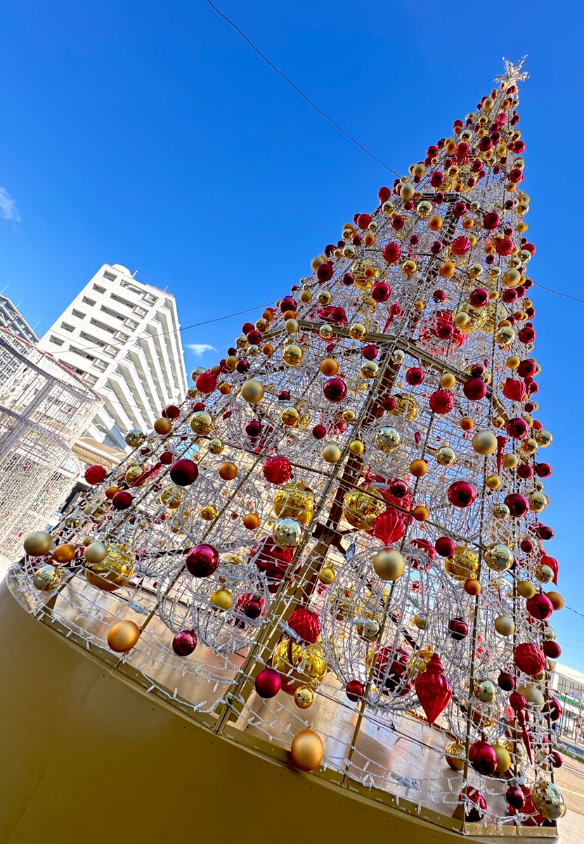 zerbinet's tweet image. しごわー

_(-ω-`_)⌒)_