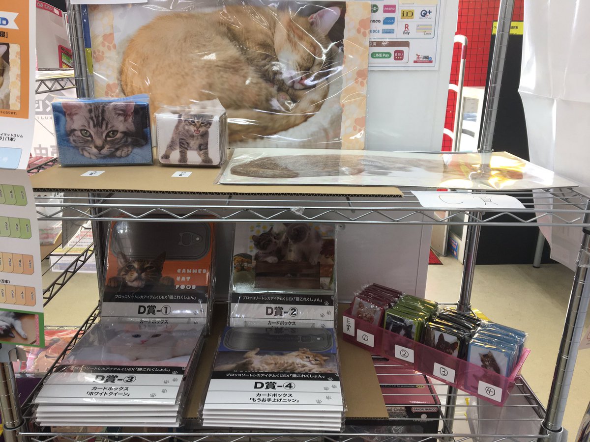 ブロッコリートレカアイテムくじ「猫これくしょん A賞 合皮製デッキケース