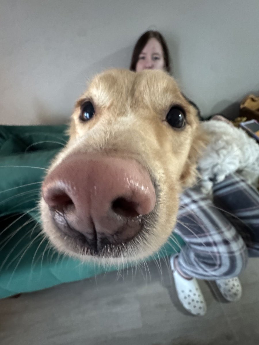 💖 (@twaniimals) on Twitter photo 