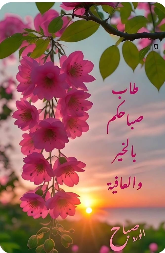 طاب صباحكم بكل خير