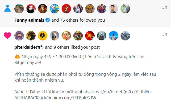 Minhtuan | AlphaBack.net 🇻🇳 tweet media