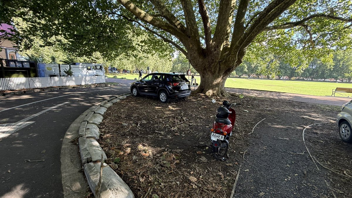 Grady Weatherley-Connell tweet media