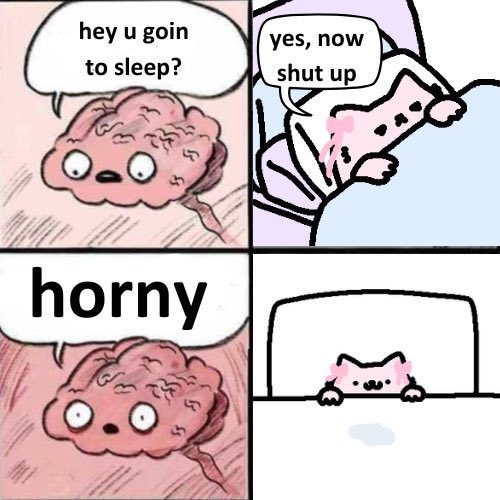 notkelbel's tweet image. gn 🧠