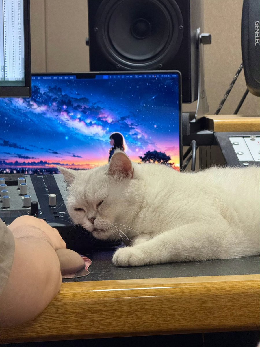 Yán Ān. tweet media