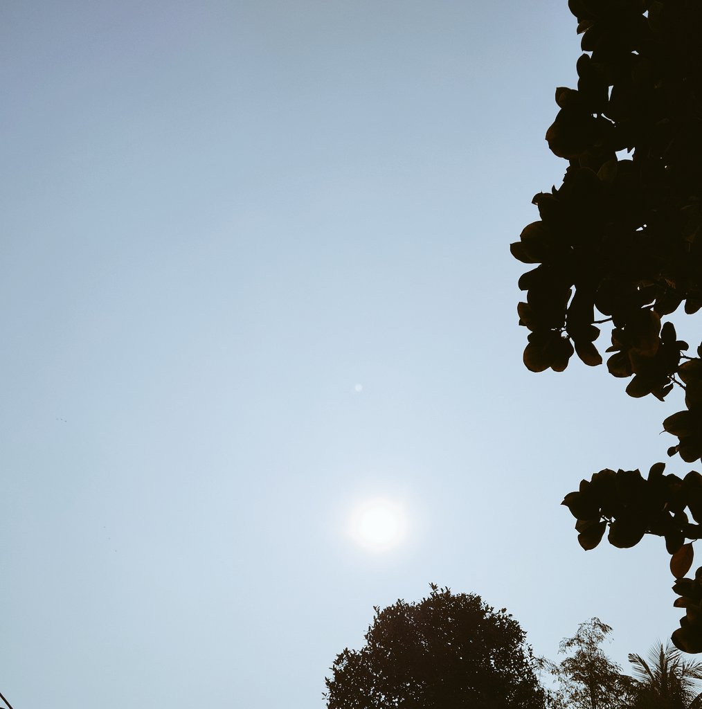 jeckrider69's tweet image. Can I Get GM 👀

Every Morning Very Spacial For Every Influencers 💙