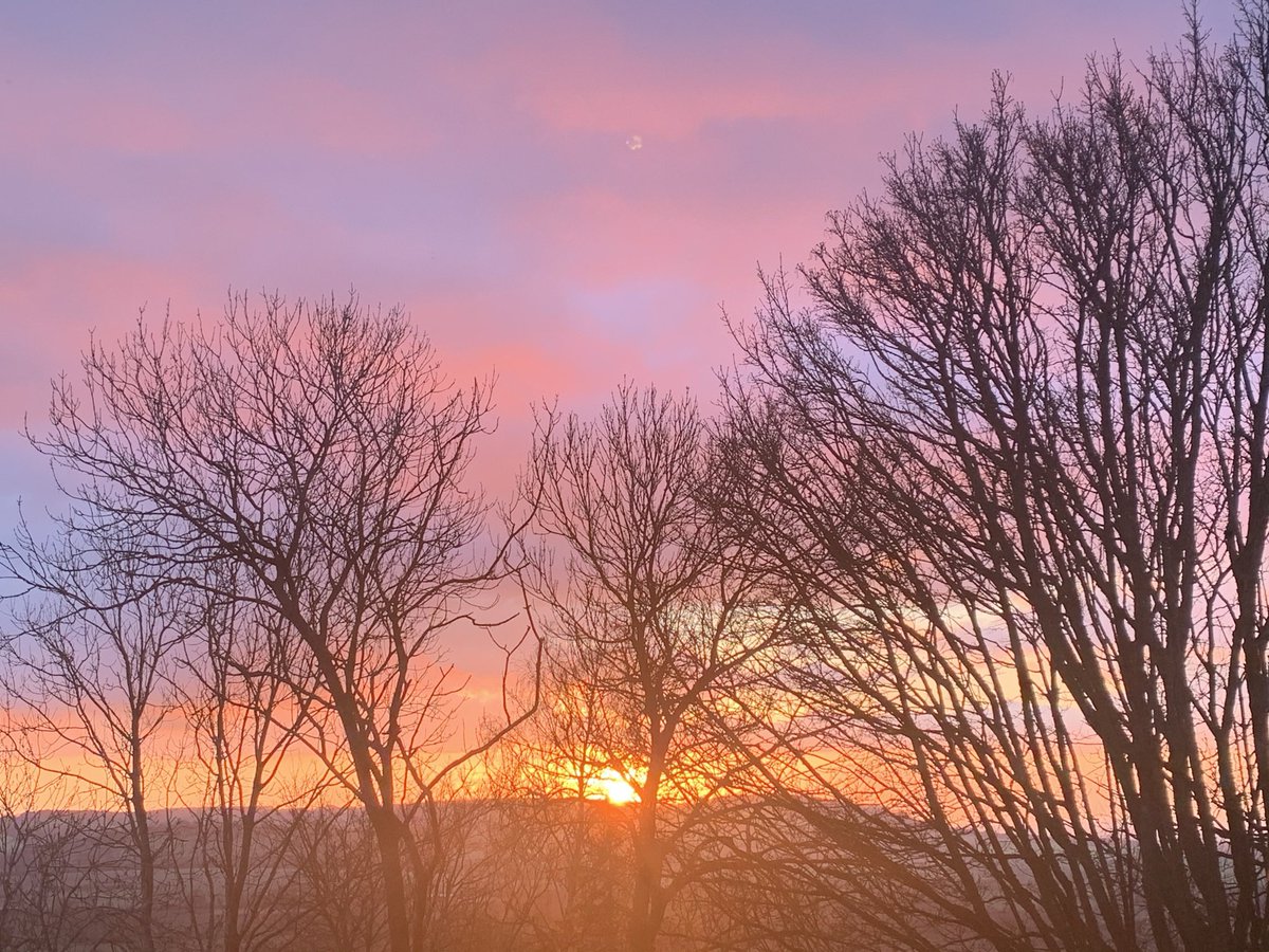 Rachael Frances 🌺🌹🌼🌻🌷 tweet media