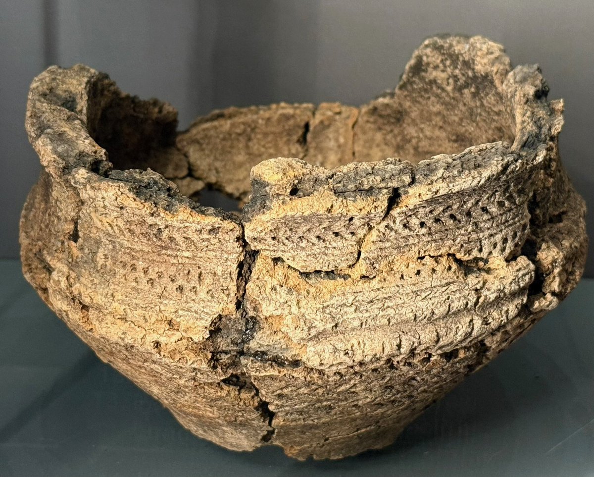 KPW1453's tweet image. A Bronze Age food vessel which was found at Hare Hill Ring Cairn, near Thornton-in-Craven in North Yorkshire. Not part of the collections at Craven Museum and Gallery in Skipton. 📸 My own. #BronzeAge #Prehistory #Archaeology #Yorkshire