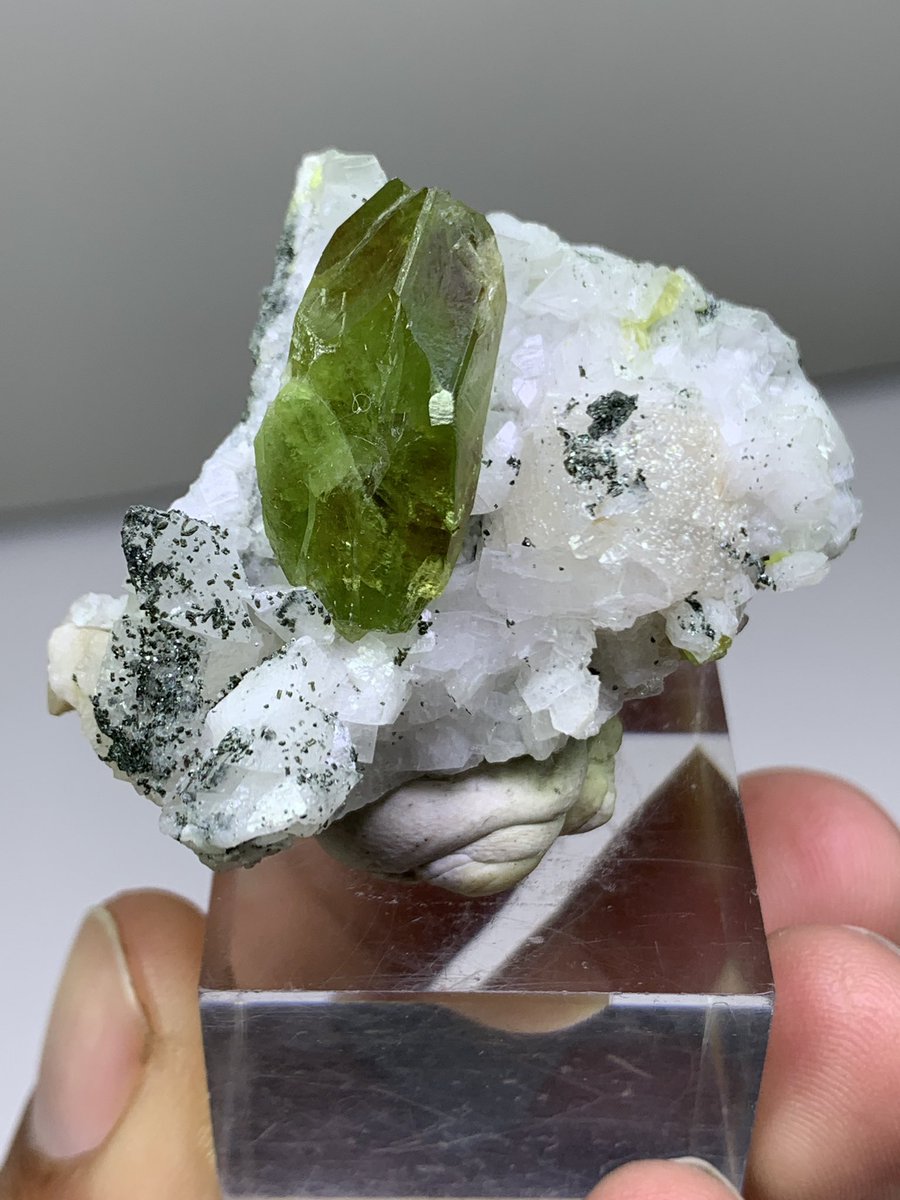 karakormcrystal's tweet photo. Exceptional Diim Titanite (Sphene) crystal displaying a sharp prismatic form and an attractive olive-green to yellow-green color. The crystal is beautifully associated with chlorite spray, adding a fine dark contrast
#karakoramcrystals #minerals #gems #Sphene #titanite #CrystalLa https://t.co/PhurwLgGMC
