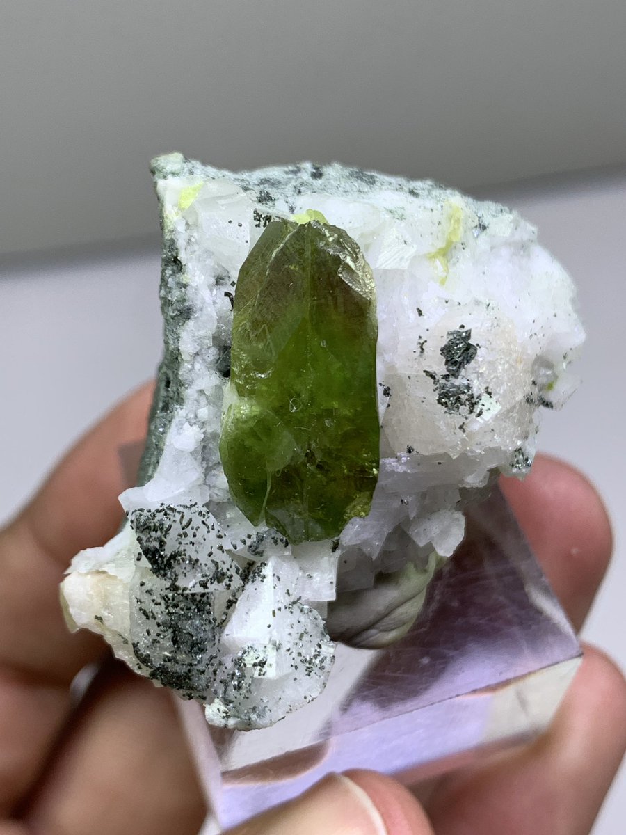 karakormcrystal's tweet photo. Exceptional Diim Titanite (Sphene) crystal displaying a sharp prismatic form and an attractive olive-green to yellow-green color. The crystal is beautifully associated with chlorite spray, adding a fine dark contrast
#karakoramcrystals #minerals #gems #Sphene #titanite #CrystalLa https://t.co/PhurwLgGMC