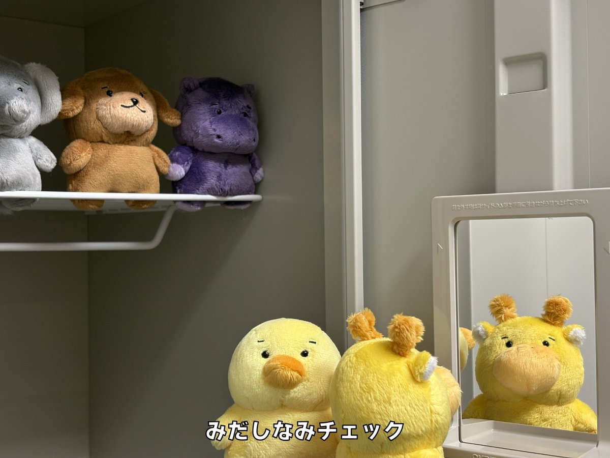 ちびむち tweet media