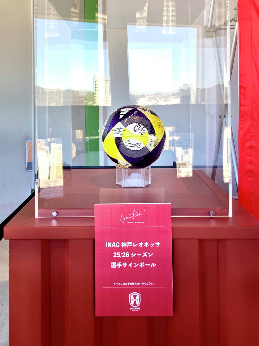 値下げ】ドボイズ ソヌ サインボール ドボイズ ソヌ サインボール 10