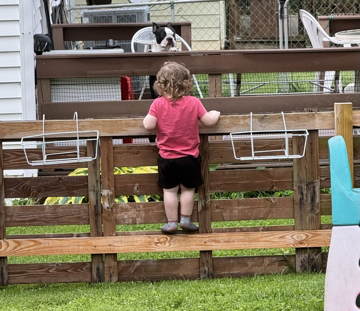 momsquad1995's tweet photo. @Ashothedark @CrazyVibes_1 One of the last photos I have of his mullet &amp; curly locks. He was having a stare off with the neighbors dog. 😂 https://t.co/0YB3Zj1Ngw