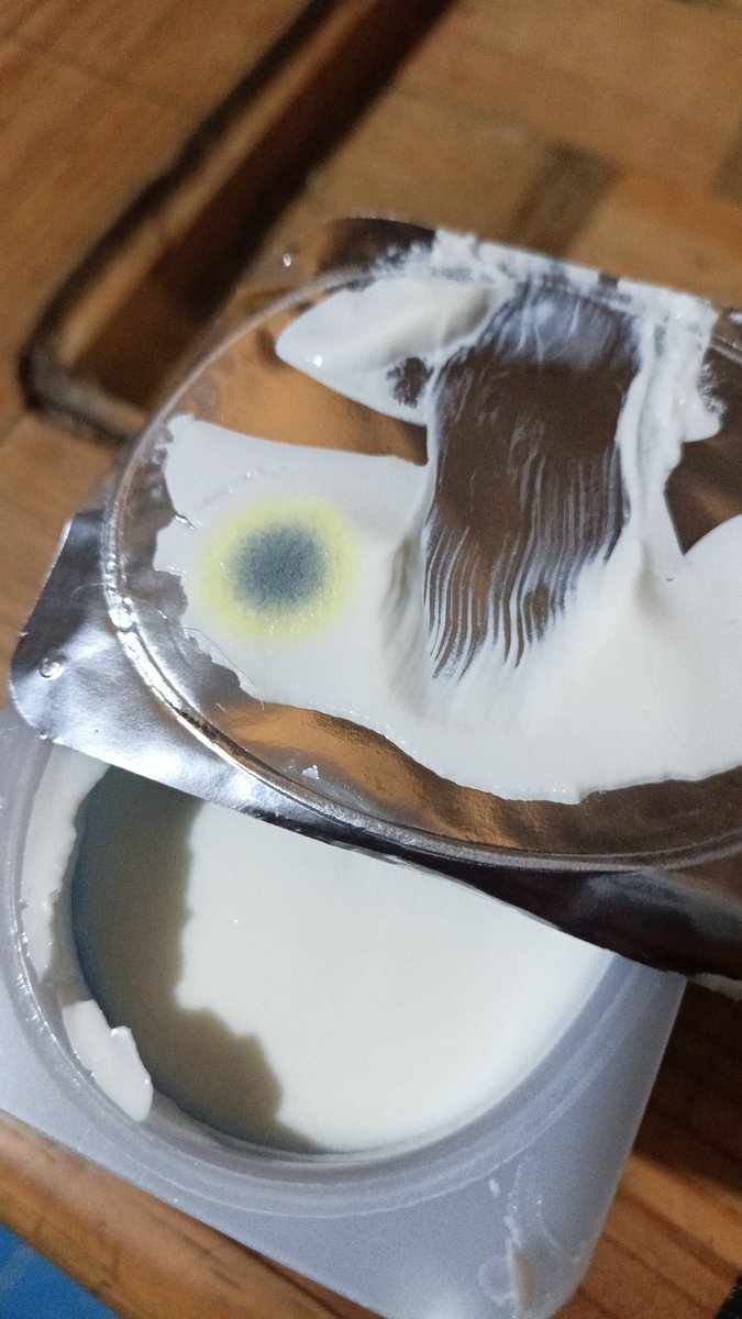 Ferritas© tweet media