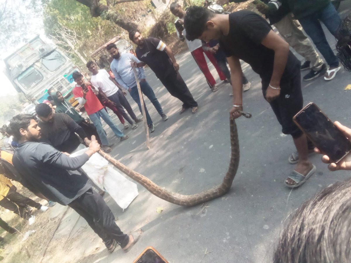 jantaball's tweet photo. कल महंगूपुर माला बगिया में निकला था अजगर , वन विभाग बेचारे गरीब आदमी न तो उनके पास कोई फैसेलिटी है और न ही हिम्मत, और अनुशासन तो बिल्कुल भी नहीं, एक कहावत है कि "अपनेन मरे सरग देखै का है"l 
#jantabal #जनताबल #NawabganjGonda #गोंडा #महंगूपुर https://t.co/pmONxlDfuy