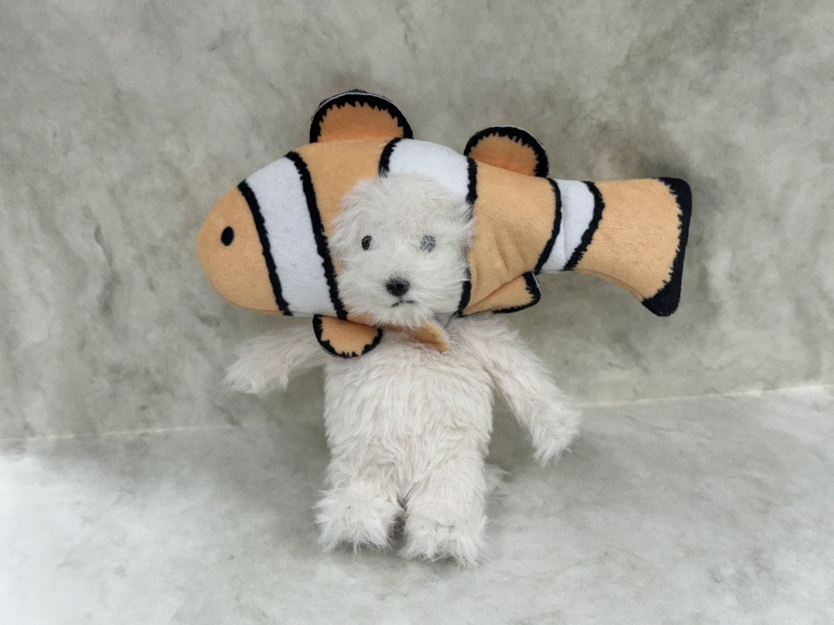 飼い主 (@kainushi_oa) / Posts / X