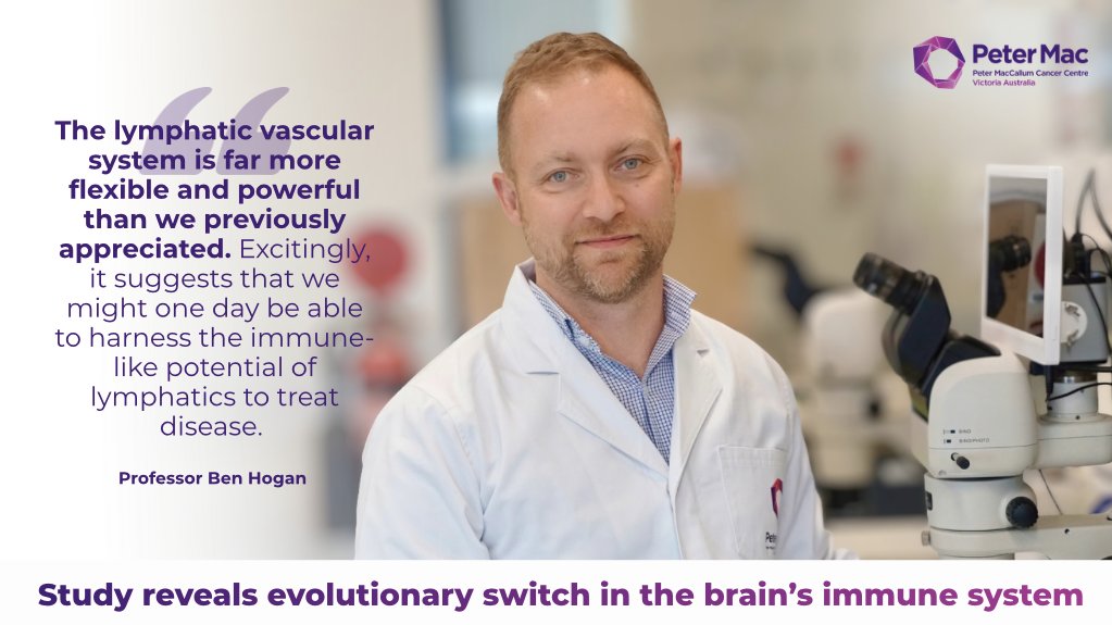 PeterMacCC's tweet photo. New research led by Prof @BenjaminHogan13 has revealed a surprising evolutionary switch in the brain’s immune system - uncovering how specialised immune cells at the borders of the brain evolved, and why they behave so differently in humans.

More: https://t.co/EDZJhMxr4b https://t.co/L1rGnh1RHf