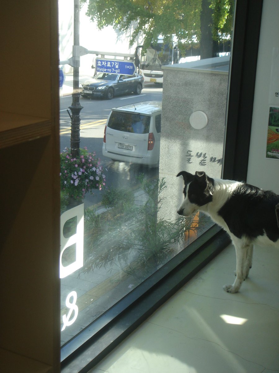 Sol__finetree's tweet image. 저도 디카사진 스리슬쩍📷