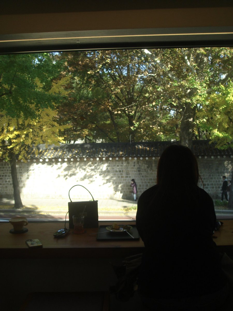 Sol__finetree's tweet image. 저도 디카사진 스리슬쩍📷