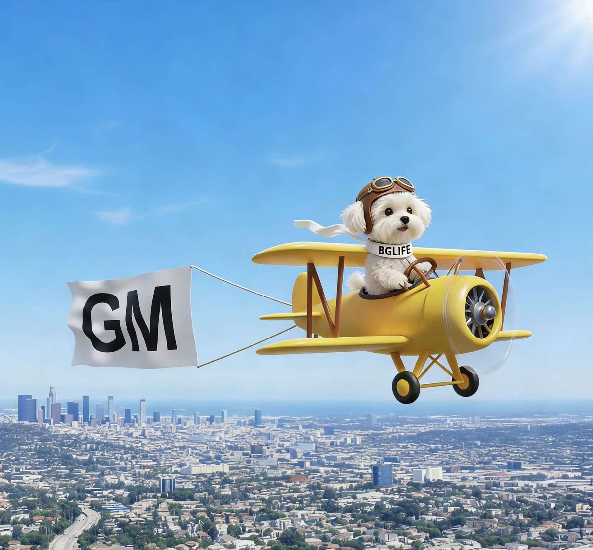 老六六六六. tweet media