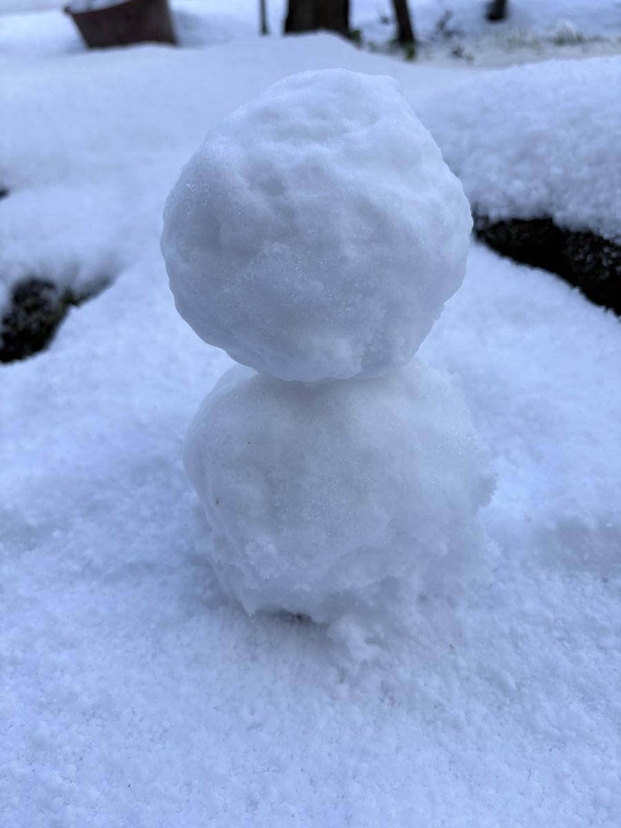 s2f_p's tweet photo. 2026年も雪だるま⛄❄ https://t.co/maenBO2uLt