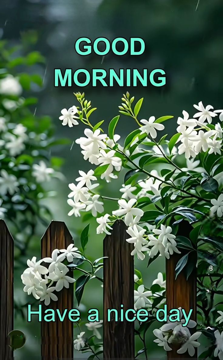 M.V.S.Rao(Dinesh) tweet media