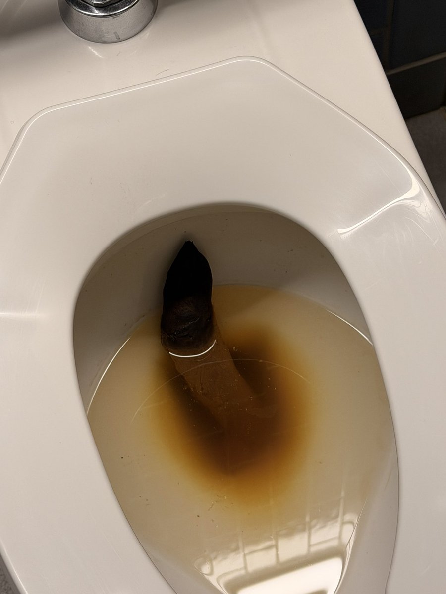 I1ovep00p's tweet photo. First farming session. Found this in my school bathroom when I went to piss and I stood there looking at it for like 15 mins this shit was so smelly and amazing I wish I could have taken it to my dorm and get messy #ilovepoop #scat #poop #chubby #gay #farming https://t.co/UZQiSLCgDk