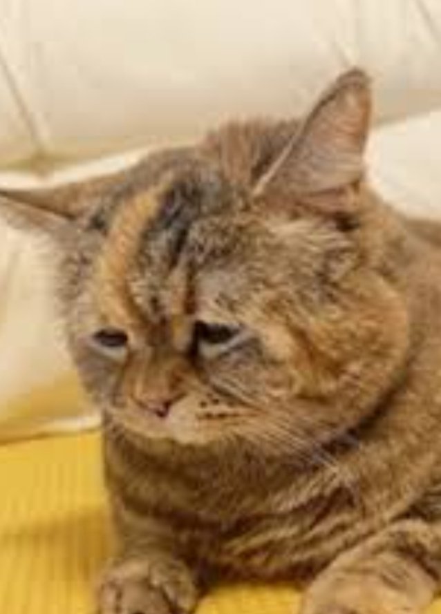 有一說一到底怎麼有人可以用後面高潮的：0

到底爽點是什麼哇：0