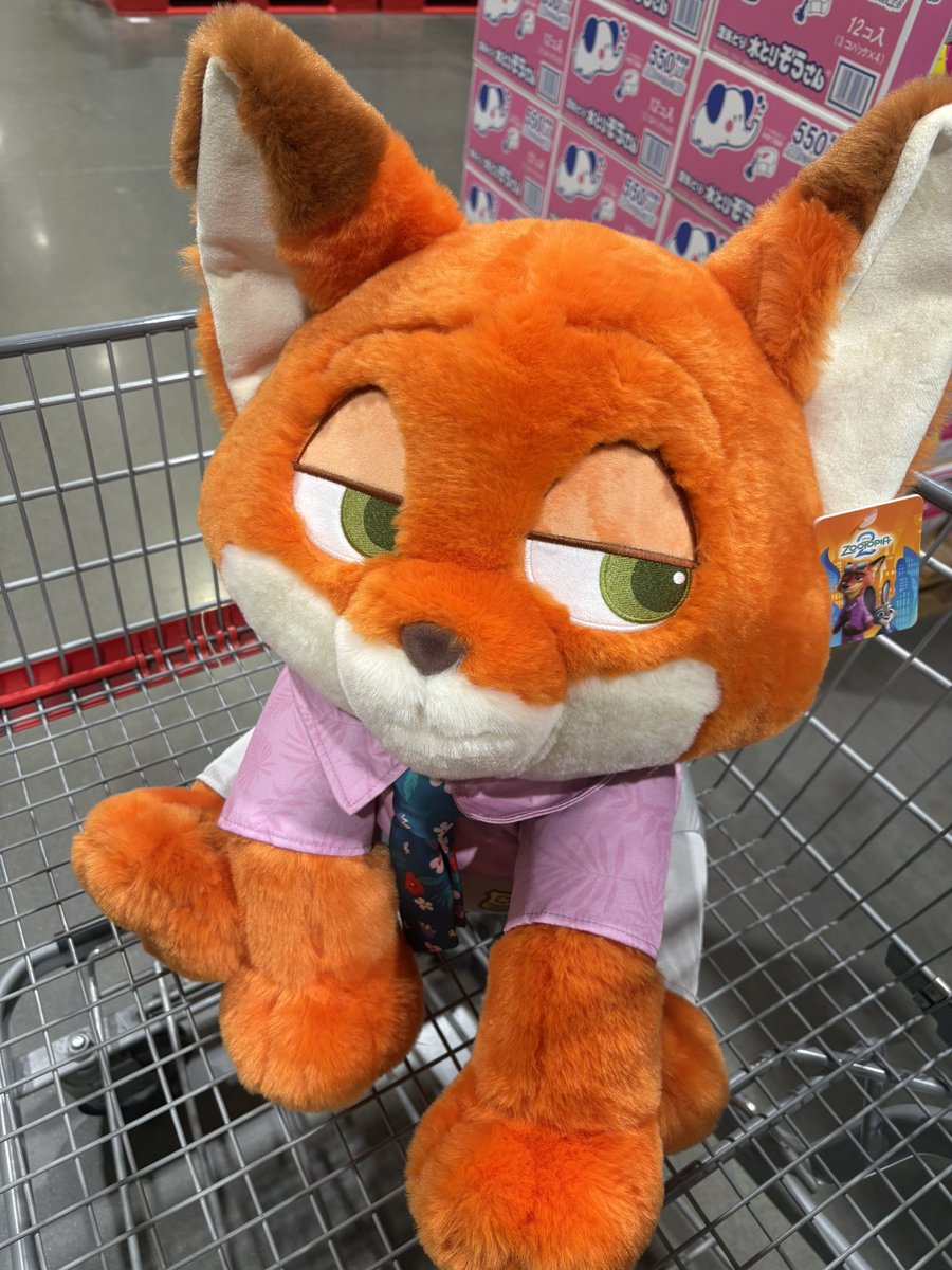 yngluv10's tweet photo. コストコにニックのデカぬいあった🦊
お持ち帰り~🎶 https://t.co/WweO7QU0lm