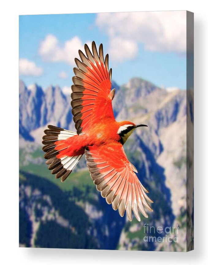 Indigo Palette tweet media