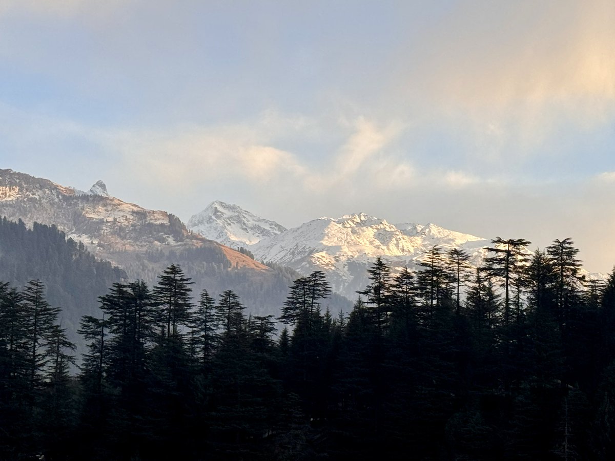 HarshVivek Singh tweet media