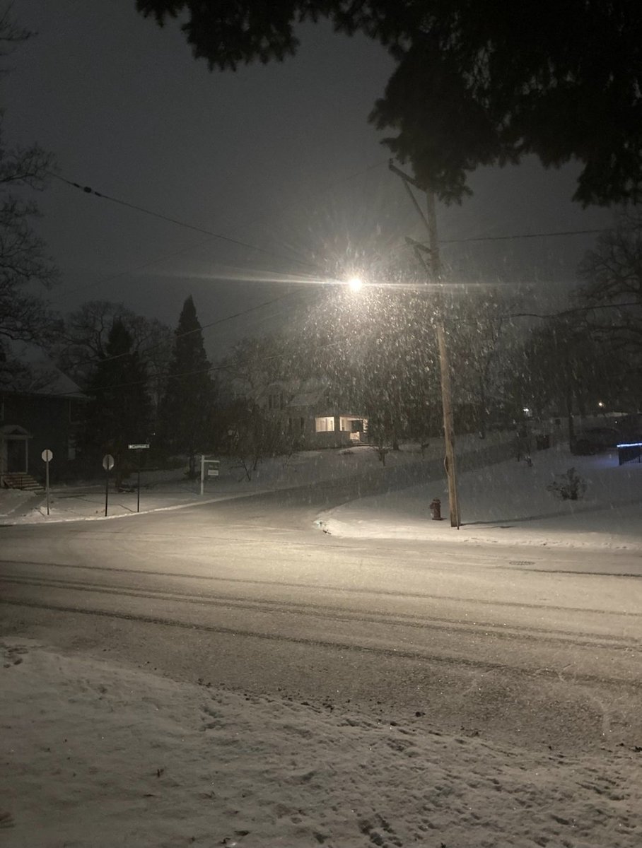 FenderBone tweet media