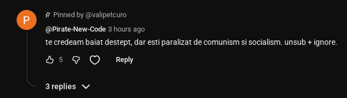 vali petcu tweet media