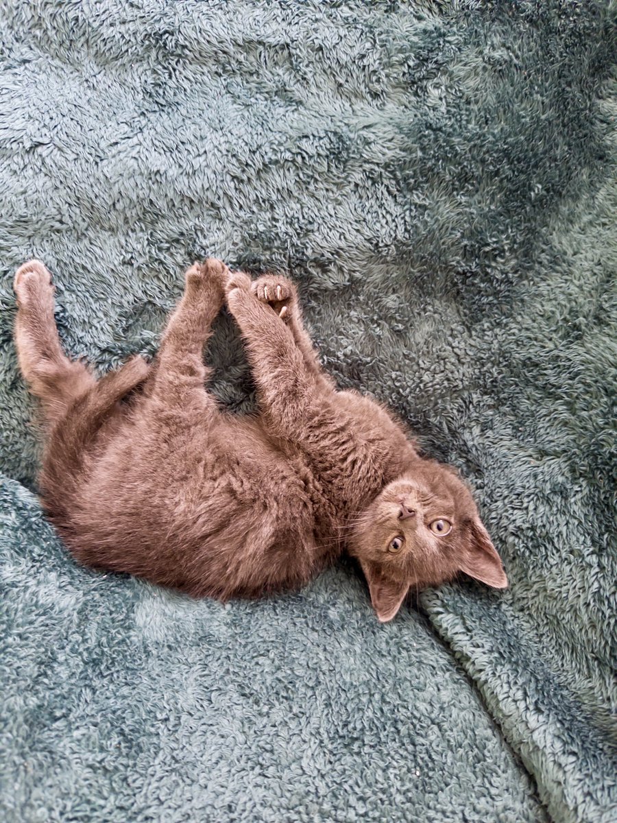 <a href="/elgato/">Elgato</a>