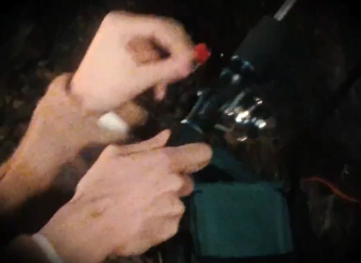 imfull's tweet image. 😇