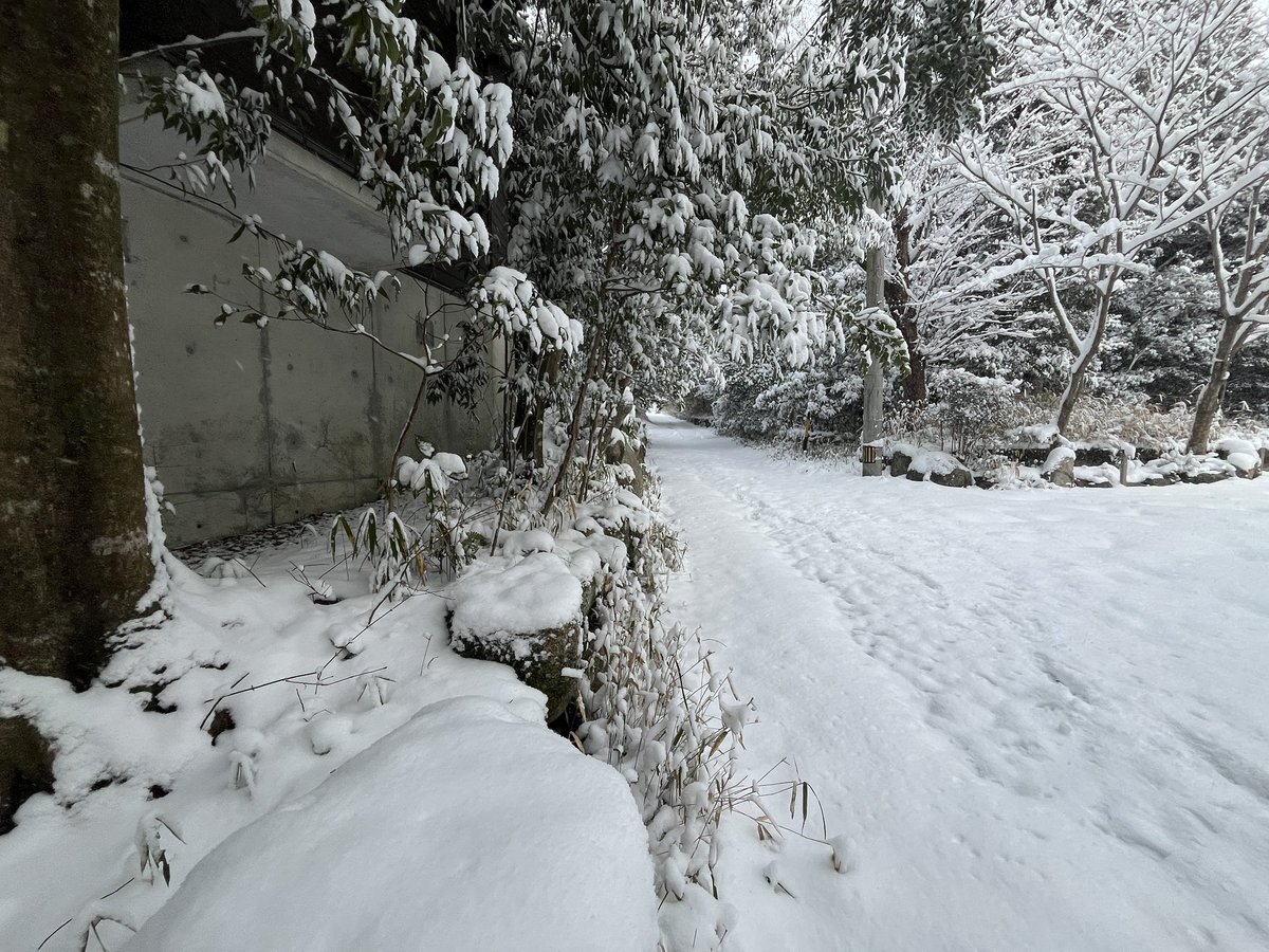 やばい雪