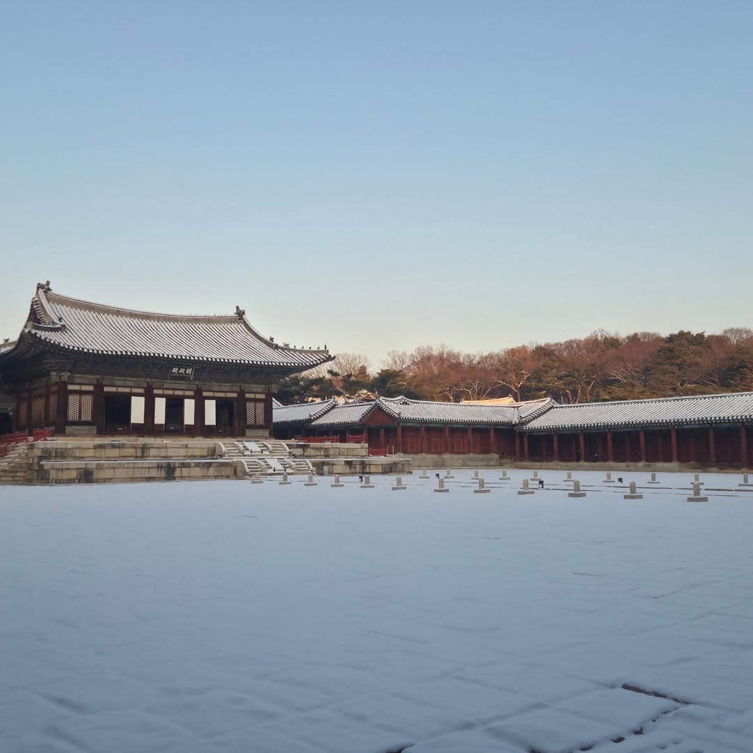 창경궁 tweet media