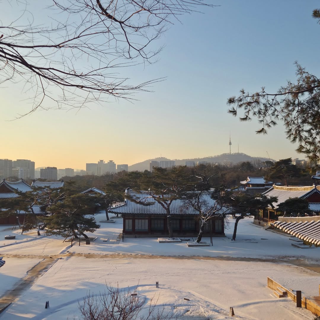 창경궁 tweet media