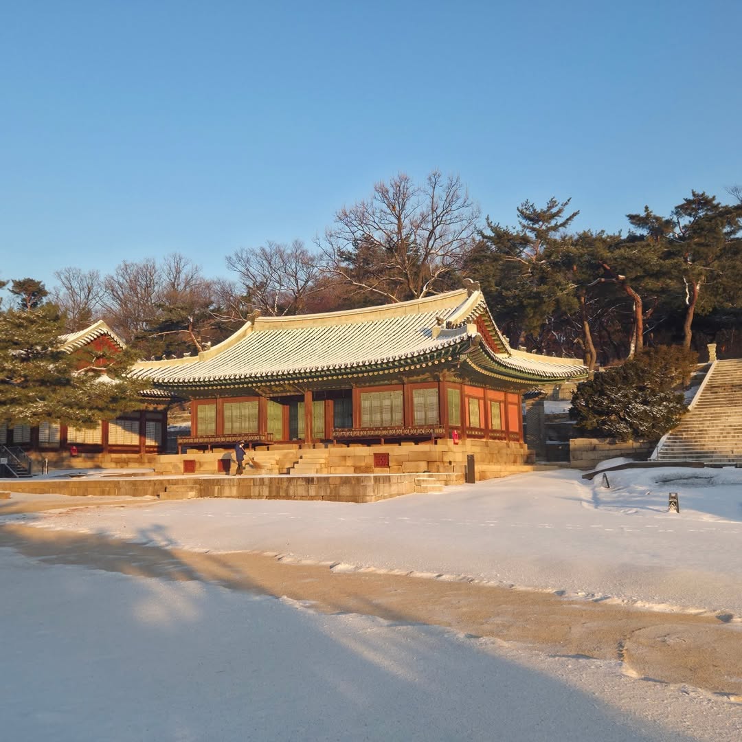 창경궁 tweet media