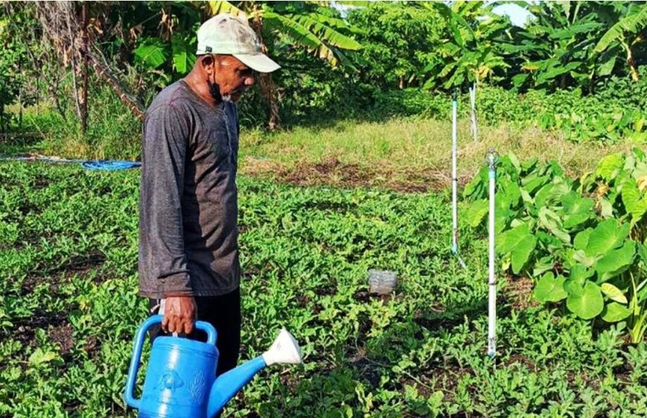 MalaresNews's tweet photo. https://t.co/wJVYyZ82rI ރަމަޟާން މަހު ދަނޑުވެރިން އުފައްދާ ތަކެތި ފަސޭހައިން ވިއްކާނެ ވަގުތީ މާރުކޭޓެއް ގާއިމުކުރަނީ
https://t.co/wJVYyZ82rI https://t.co/ClfmNbgPYH