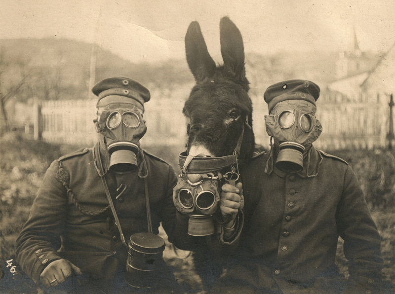 O.W. Root tweet media