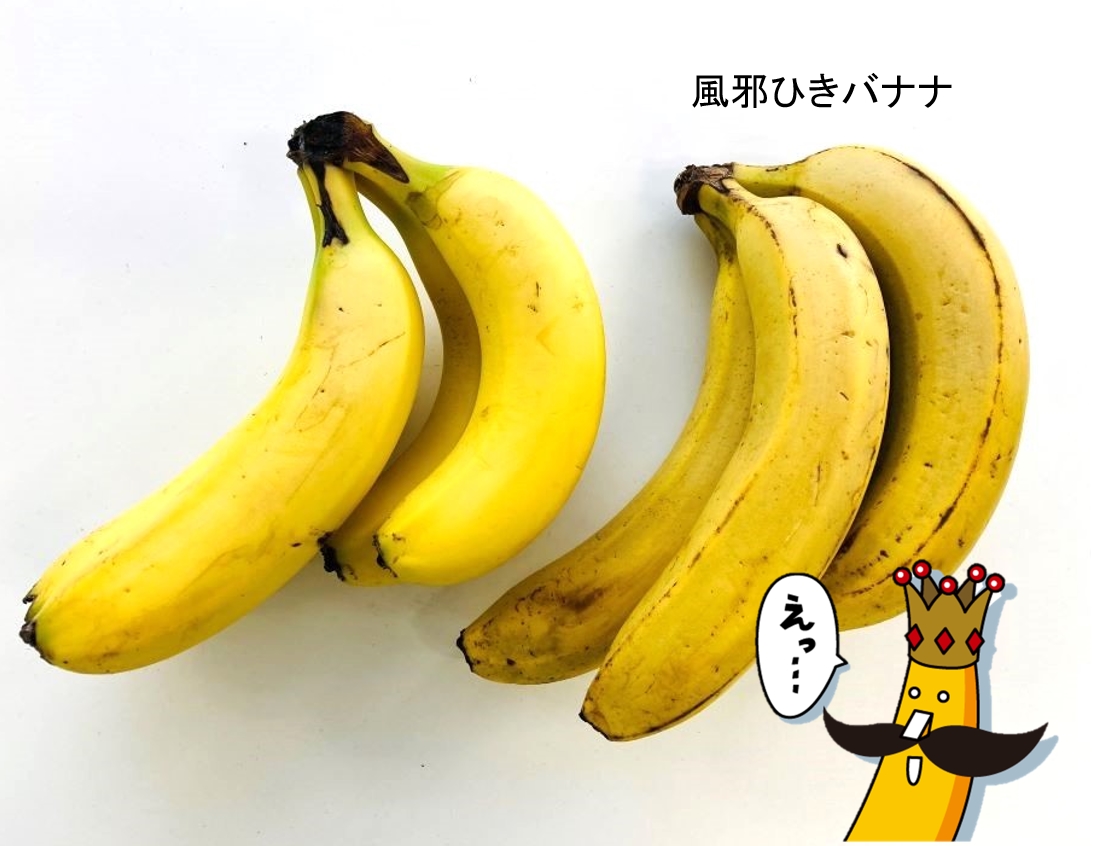 バナナの王様 甘熟王【公式】 (@kanjukuoh) / Posts / X