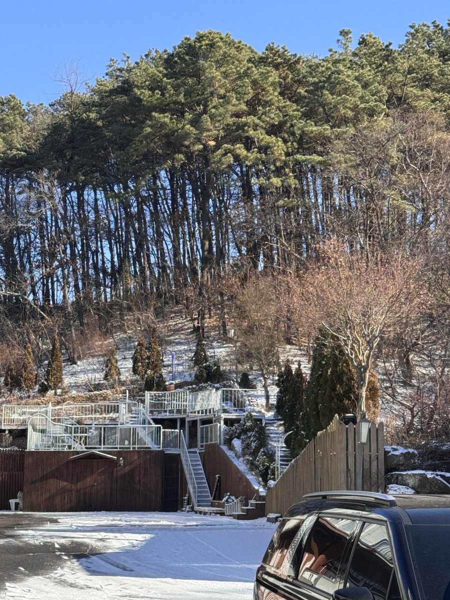 ALPHA DRIVE ONE tweet media