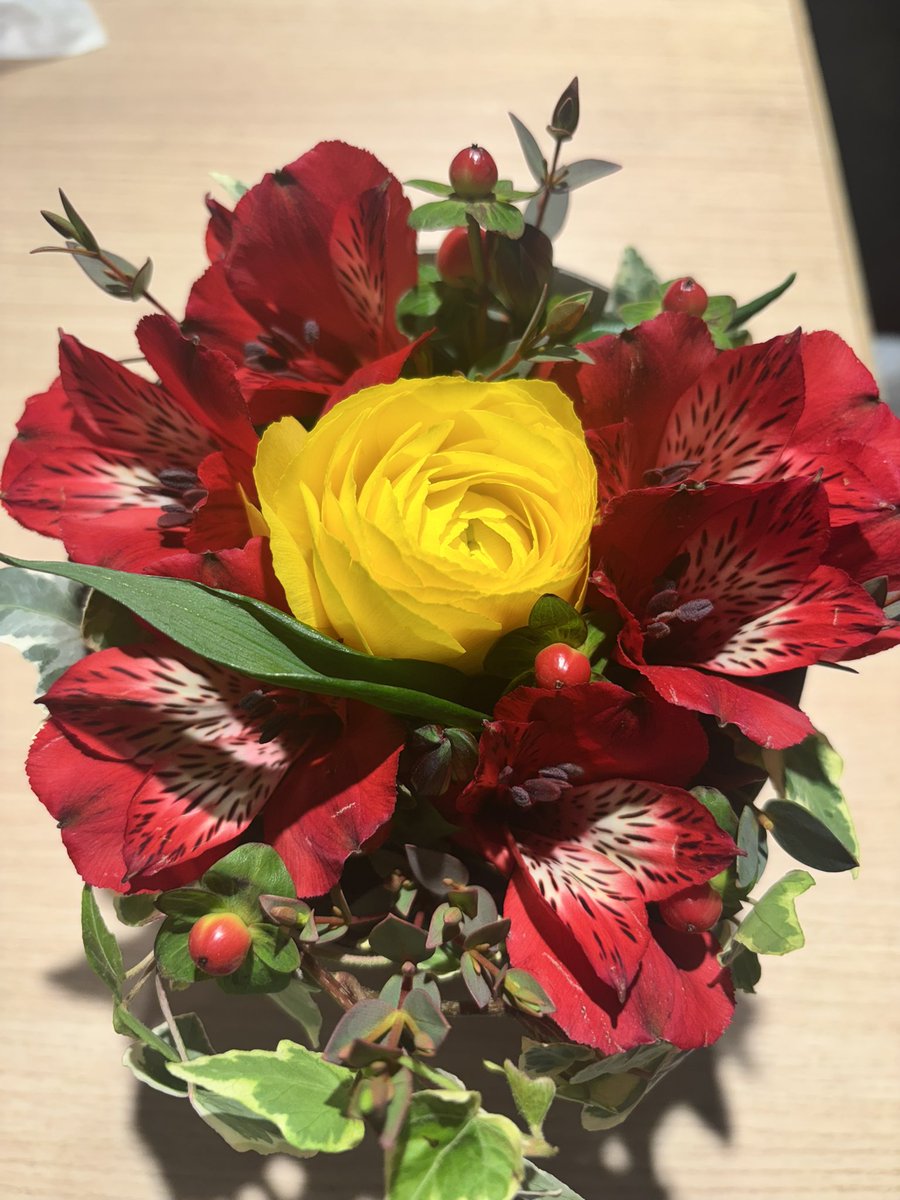 シチケン (@mTABbLZFOlUAFTU) / Posts / X