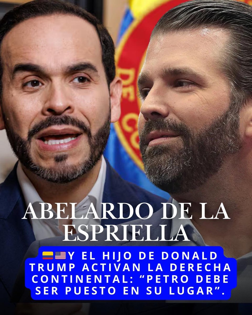 cecollm's tweet image. 