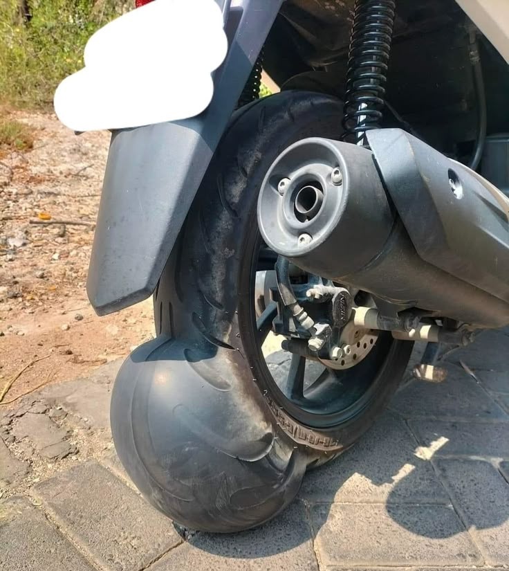 KucengTerbanggg's tweet image. Mana foto ban cocor kalian