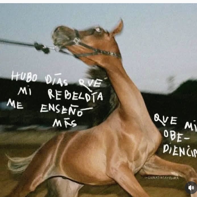 Chapita83's tweet photo. El tiempo te aplaca, te vuelve un poco más sabio, pero nunca hay que perder esa rebeldía... https://t.co/V7fAyZWff8